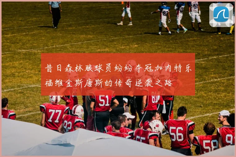 昔日森林狼球员纷纷夺冠加内特乐福维金斯唐斯的传奇逆袭之路
