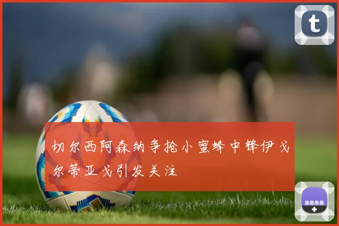 切尔西阿森纳争抢小蜜蜂中锋伊戈尔蒂亚戈引发关注