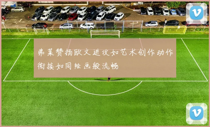 弗莱赞扬欧文进攻如艺术创作动作衔接如同绘画般流畅