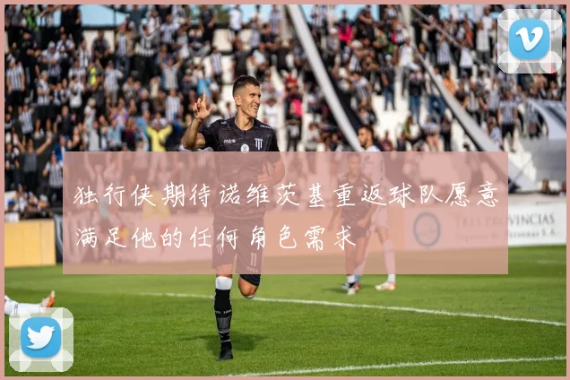 独行侠期待诺维茨基重返球队愿意满足他的任何角色需求